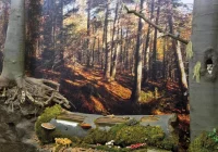 Otwarto Ośrodek Edukacyjny Gorczańskiego Parku Narodowego - zdjęcie główne