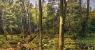 Otwarto Ośrodek Edukacyjny Gorczańskiego Parku Narodowego - zdjęcie 3