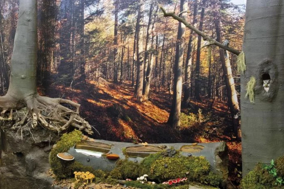 Otwarto Ośrodek Edukacyjny Gorczańskiego Parku Narodowego - zdjęcie 5