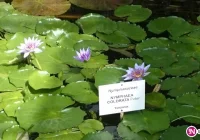 Przyszli architekci krajobrazu na wyjazdowym szkoleniu - zdjęcie główne