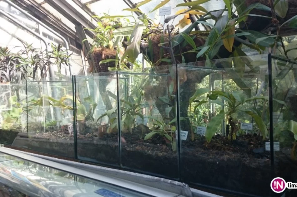 Przyszli architekci krajobrazu na wyjazdowym szkoleniu - zdjęcie 2