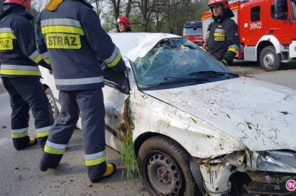 Naściszowa: samochód osobowy wypadł z drogi - zdjęcie 2