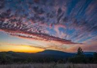 Ostrzeżenie drugiego stopnia: silny wiatr - zdjęcie główne