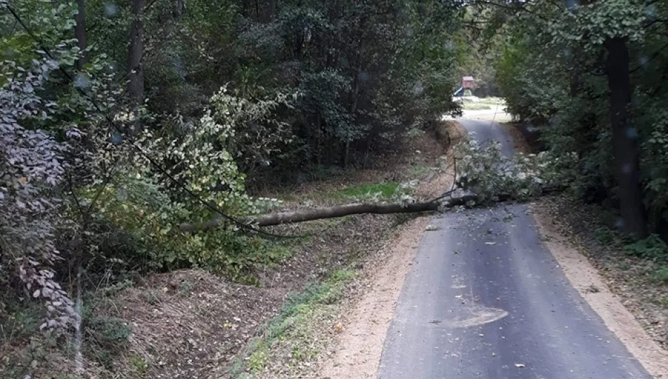 7 interwencji związanych z silnym wiatrem, awarie prądu - zdjęcie 1