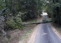 7 interwencji związanych z silnym wiatrem, awarie prądu - zdjęcie główne