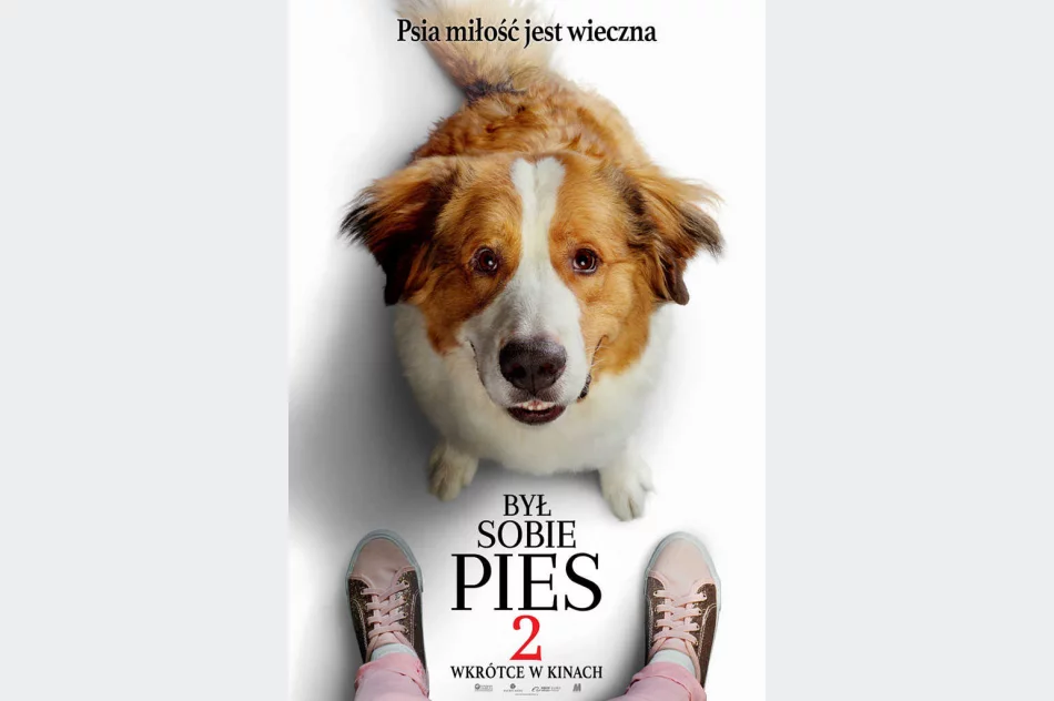 Premiera w Kinie Klaps - "Był sobie pies 2" na ekranie od 4 października! - zdjęcie 2