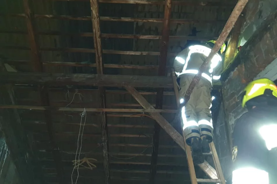 22 interwencje straży po silnym wietrze w regionie - zdjęcie 6