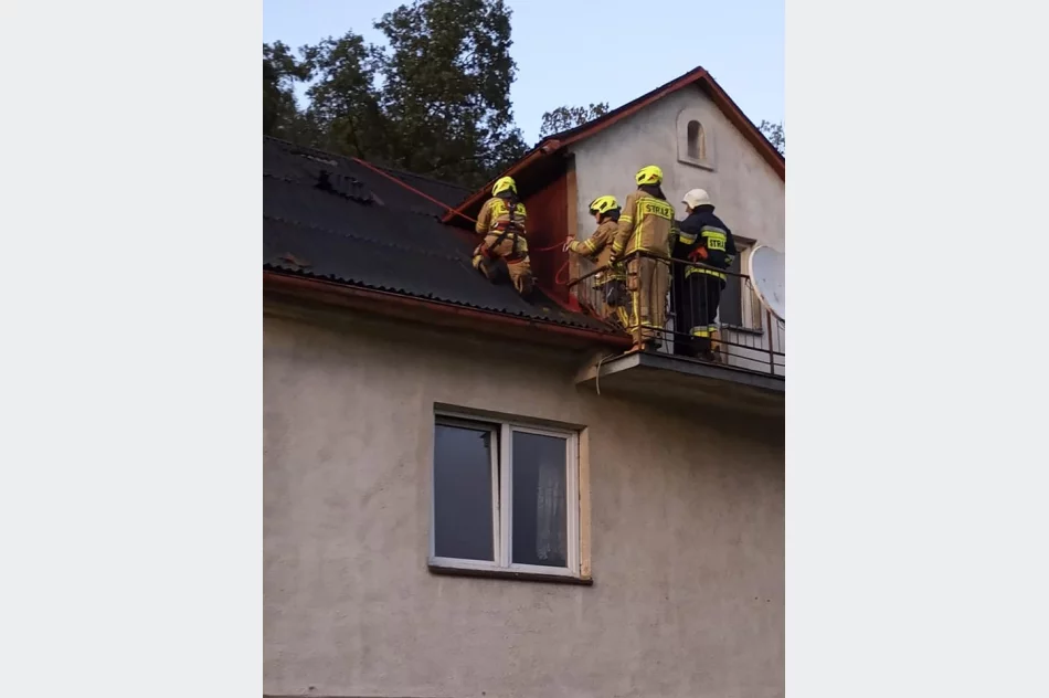 22 interwencje straży po silnym wietrze w regionie - zdjęcie 8