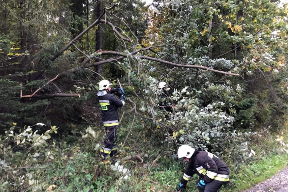 22 interwencje straży po silnym wietrze w regionie - zdjęcie 11