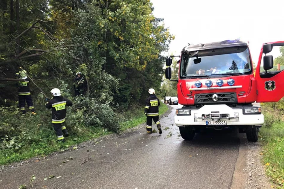 22 interwencje straży po silnym wietrze w regionie - zdjęcie 13