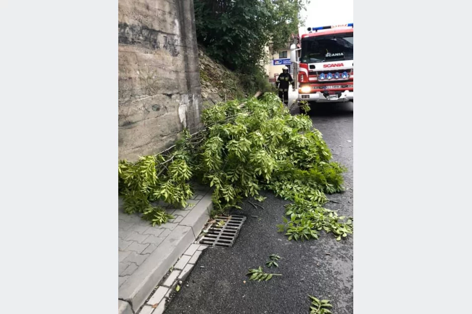 22 interwencje straży po silnym wietrze w regionie - zdjęcie 14