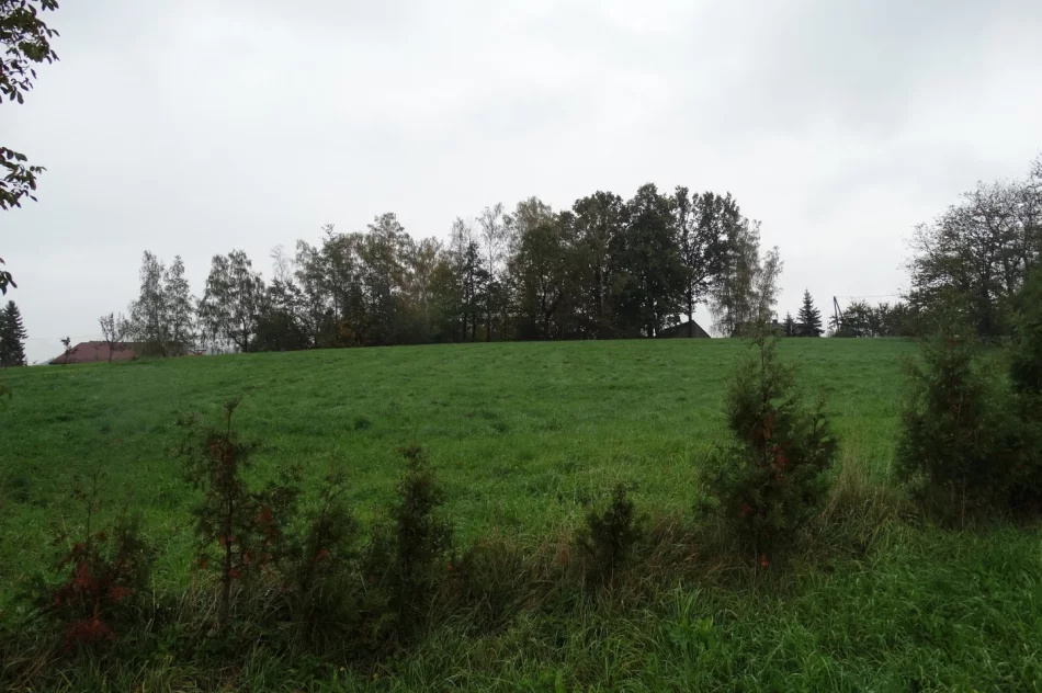 Rycerska warownia w Limanowej? - zdjęcie 2