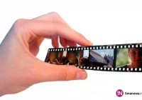 Ruszył nabór do Filmoteki Małopolskiej 2016 - zdjęcie główne