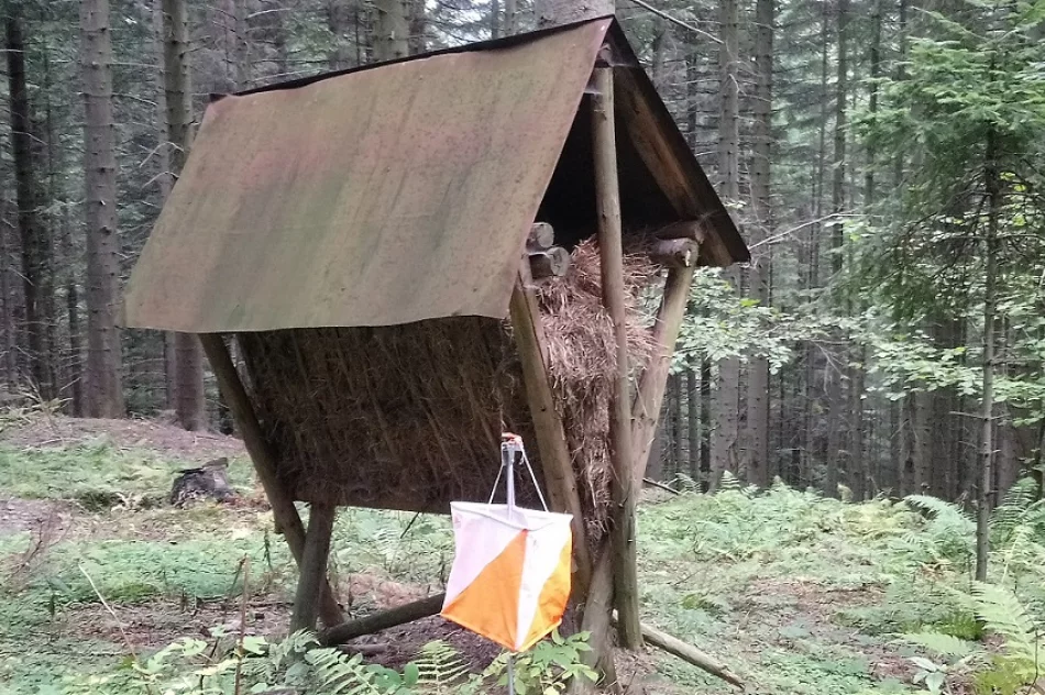 Wrześniowe bieganie Patrii Młynne z sukcesami  - zdjęcie 11