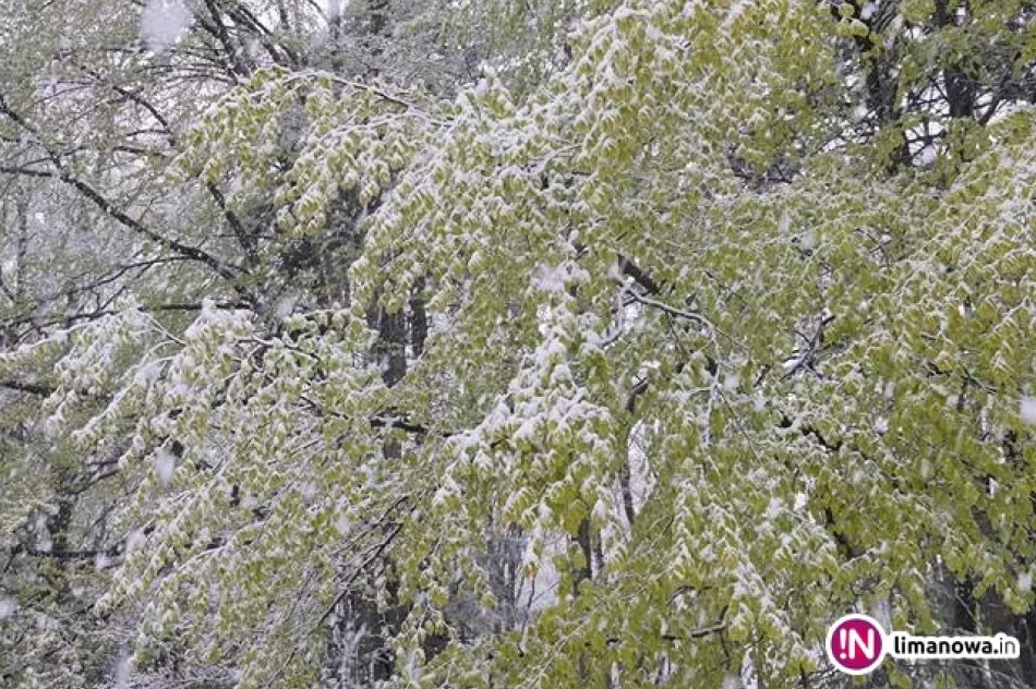 Wróciła zima. Poza śniegiem, synoptycy prognozują przymrozki i oblodzenia - zdjęcie 3