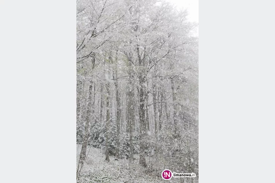 Wróciła zima. Poza śniegiem, synoptycy prognozują przymrozki i oblodzenia - zdjęcie 4