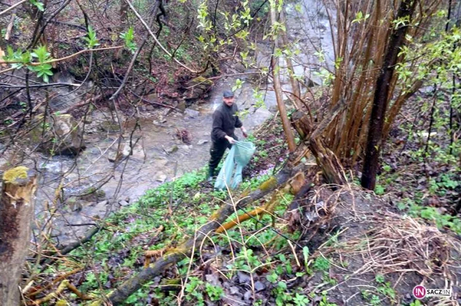 25 Eko-godzin dla miasta i powiatu - zdjęcie 2