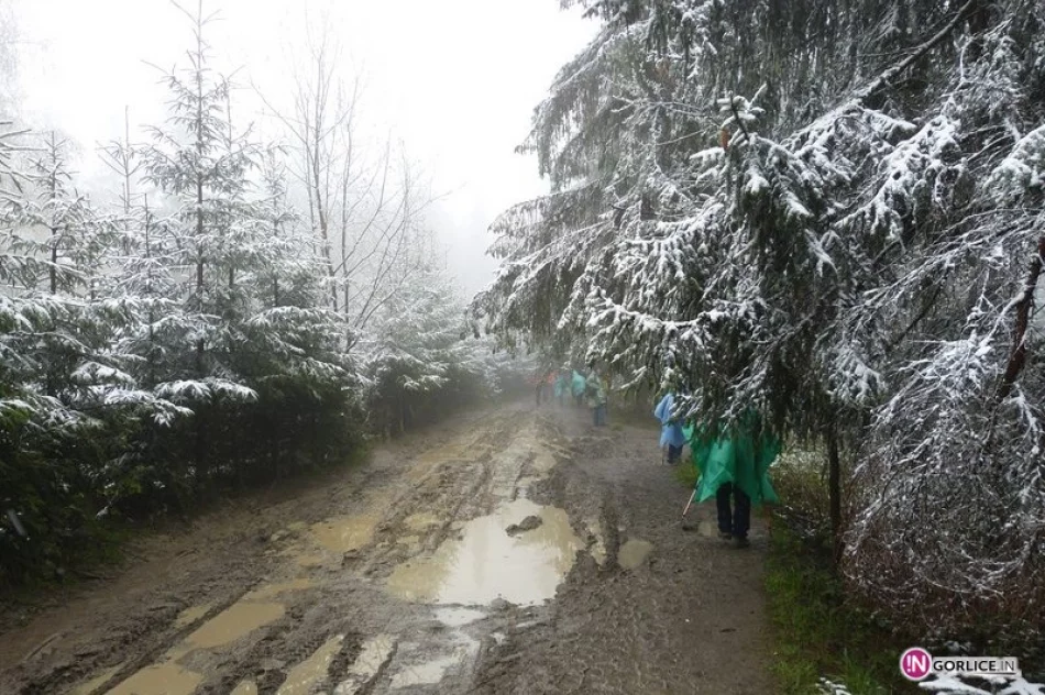 Rozpoczęcie sezonu z dyplomem dla gorlickich turystów - zdjęcie 2