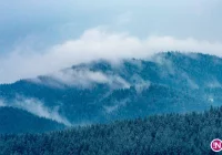 Kolejna noc przymrozków - ostrzeżenie IMiGW - zdjęcie główne