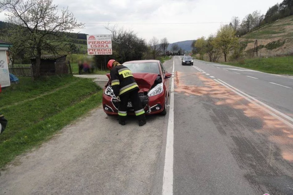 Nowa Wieś:  zderzenie dwóch samochodów osobowych - zdjęcie 2