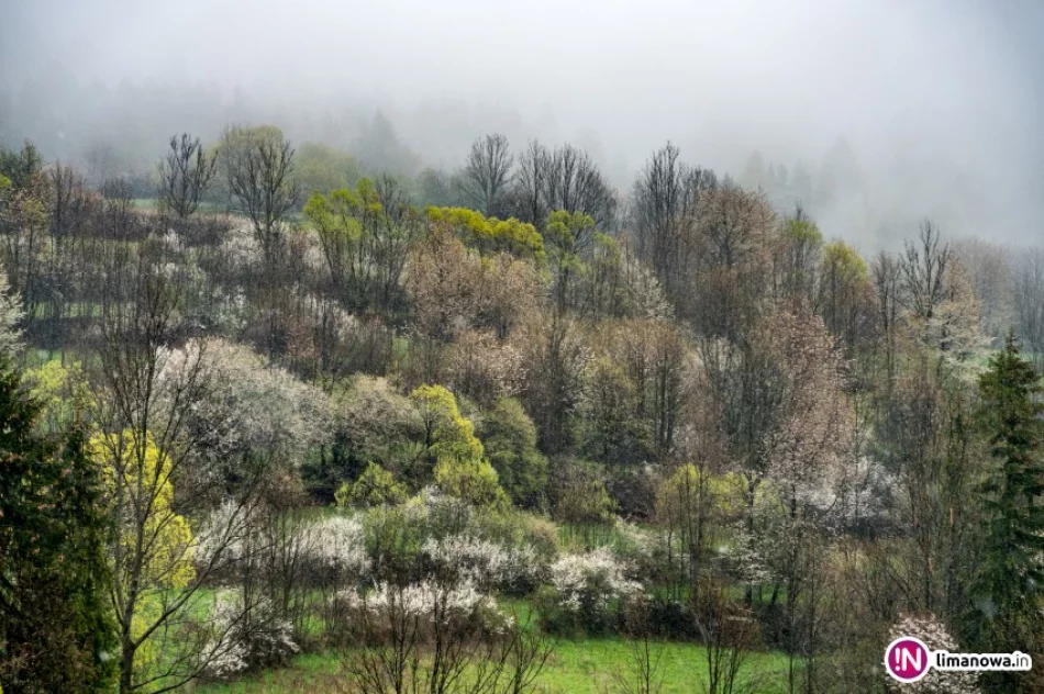 W górach sypie... śnieg - zdjęcie 3