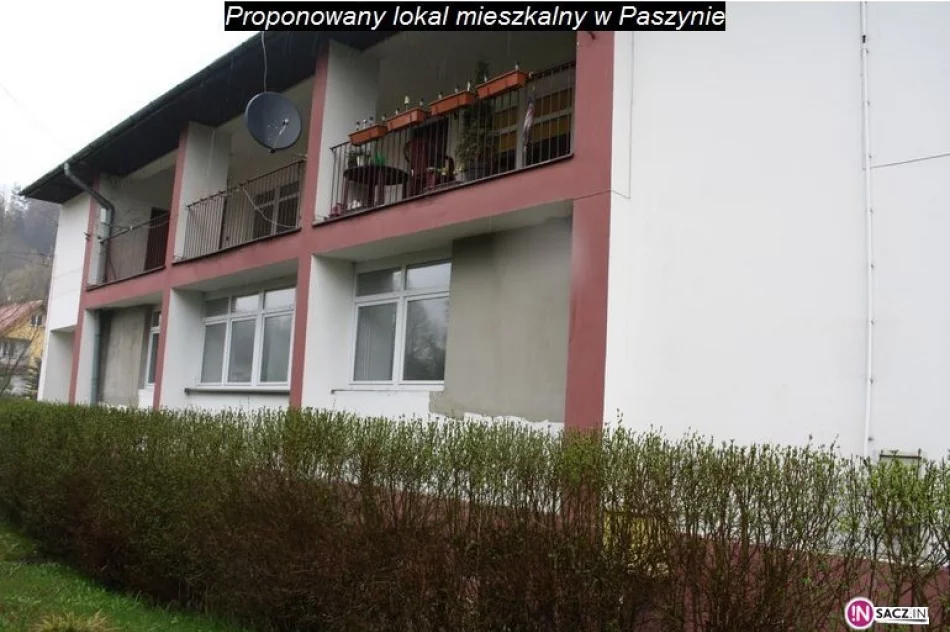 Chciał pokazać, że dzieje mu się krzywda - zdjęcie 2