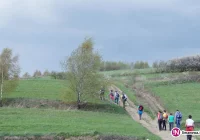Z roku na rok - rekord - zdjęcie główne