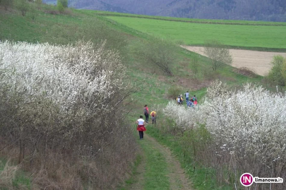 Z roku na rok - rekord - zdjęcie 4