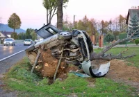 Samochód uderzył w drzewo. Strażacy wydobyli zakleszczonego kierowcę - zdjęcie główne