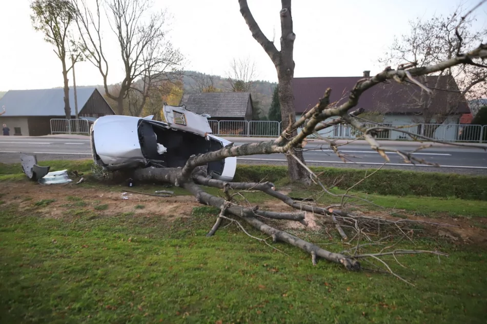 Samochód uderzył w drzewo. Strażacy wydobyli zakleszczonego kierowcę - zdjęcie 2