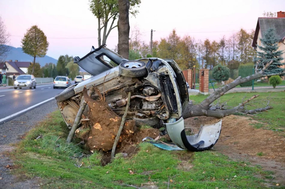 Samochód uderzył w drzewo. Strażacy wydobyli zakleszczonego kierowcę - zdjęcie 3