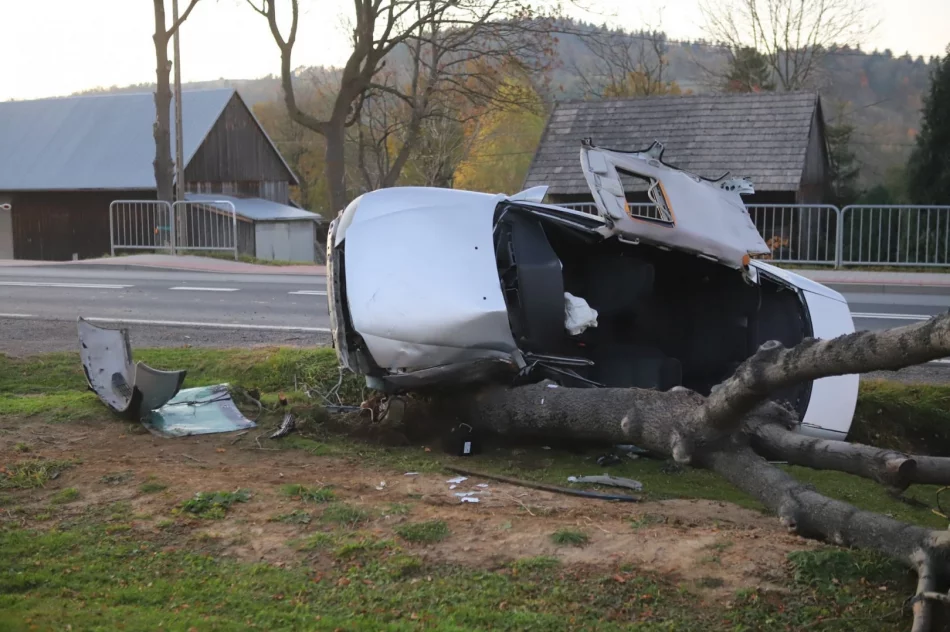 Samochód uderzył w drzewo. Strażacy wydobyli zakleszczonego kierowcę - zdjęcie 4