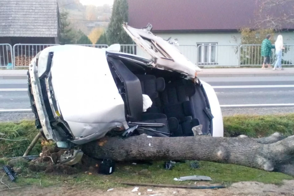 Samochód uderzył w drzewo. Strażacy wydobyli zakleszczonego kierowcę - zdjęcie 6