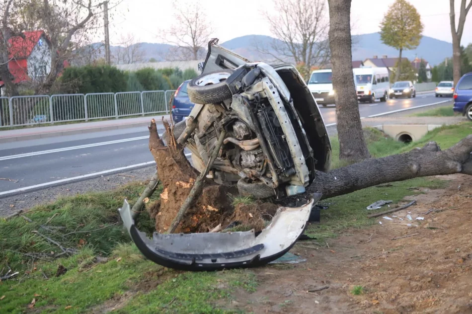 Samochód uderzył w drzewo. Strażacy wydobyli zakleszczonego kierowcę - zdjęcie 7