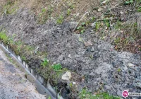 Pracę trzeba szanować... - zdjęcie główne