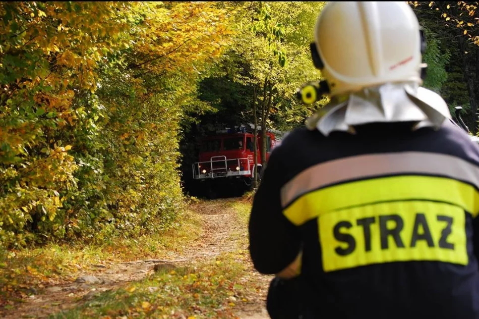 Ćwiczyły gminne jednostki OSP - zdjęcie 4