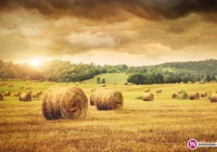 Lokalni przedsiębiorcy piszą do ministra - są zaniepokojeni zmianami w obrocie gruntami rolnymi - zdjęcie główne