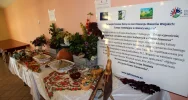 Warsztaty kulinarne w świetlicy w Pasierbcu - zdjęcie 3