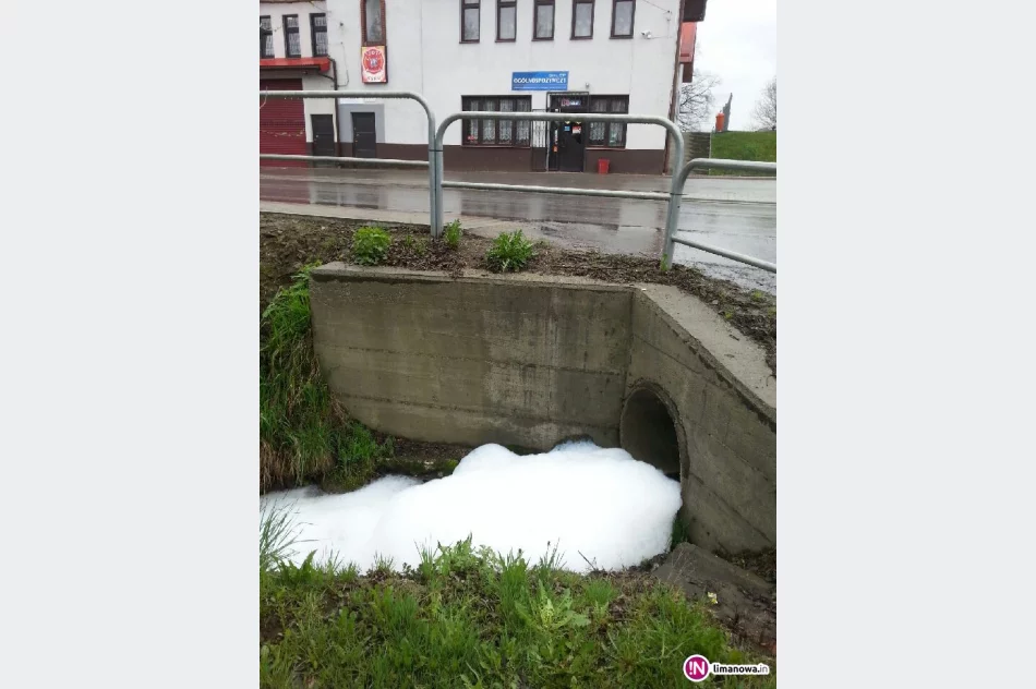 Piana w potoku przepływającym przez osiedle - zdjęcie 2