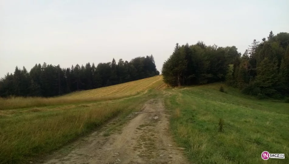 Ponad 100 km szlaków do remontu - zdjęcie 1