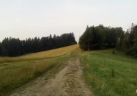 Ponad 100 km szlaków do remontu - zdjęcie główne