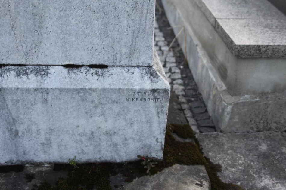 Spacery odkrywają historię miejscowości i związanych z nimi osób - zdjęcie 5