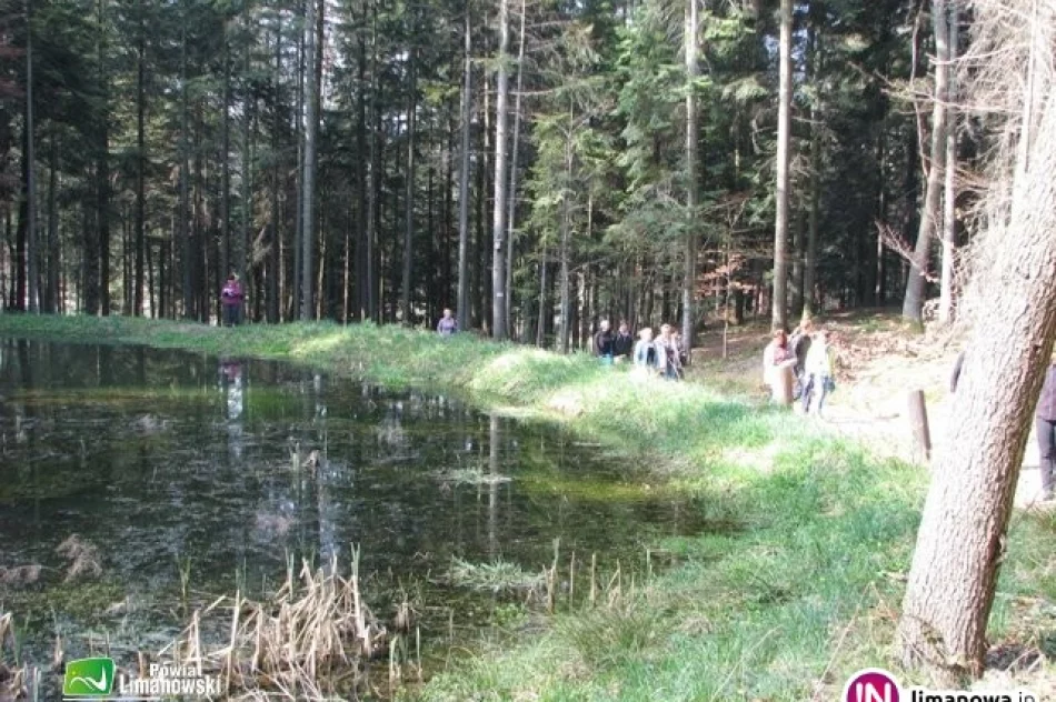 Edukacja ekologiczna dla nauczycieli. XI edycja warsztatów - zdjęcie 4