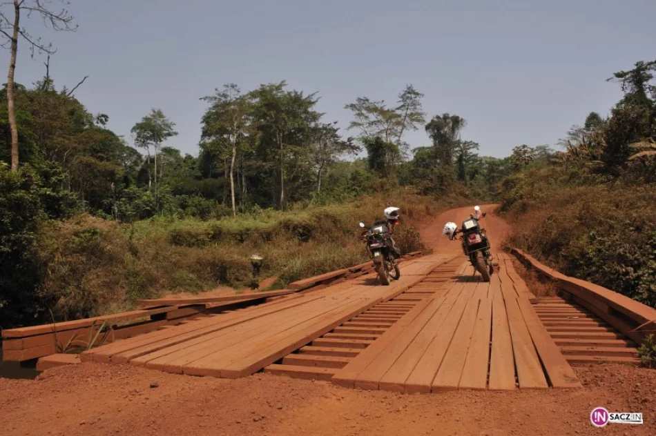 Tam, gdzie się ma kart kredytowych, czują się najlepiej - zdjęcie 2