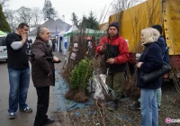 Zdrowo i ekologicznie w Brzeznej - zdjęcie główne