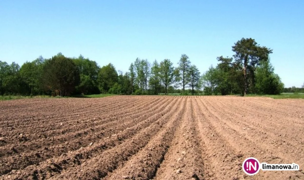 Sprzedaż i zakup gruntów rolnych od 1 maja - najważniejsze informacje ministerstwa