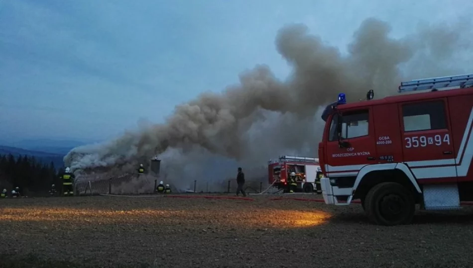 52 strażaków gasiło pożar w Gaboniu - zdjęcie 1