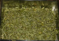 Na balkonie uprawiał... marihuanę - zdjęcie główne