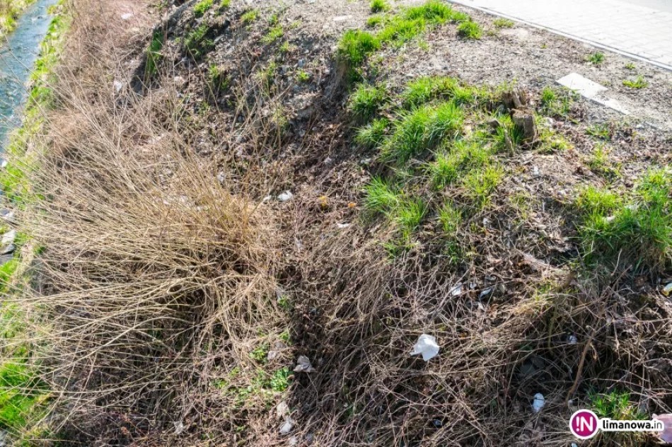 Śmieci w potoku i mostek z przeszkodami - zdjęcie 3