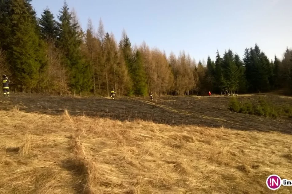 Płonęły trawy na zboczach Jasienia - zdjęcie 2